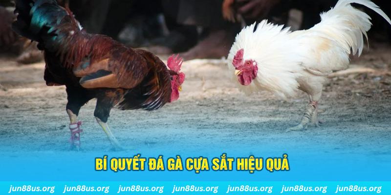 98 win nổ hũ may mắn