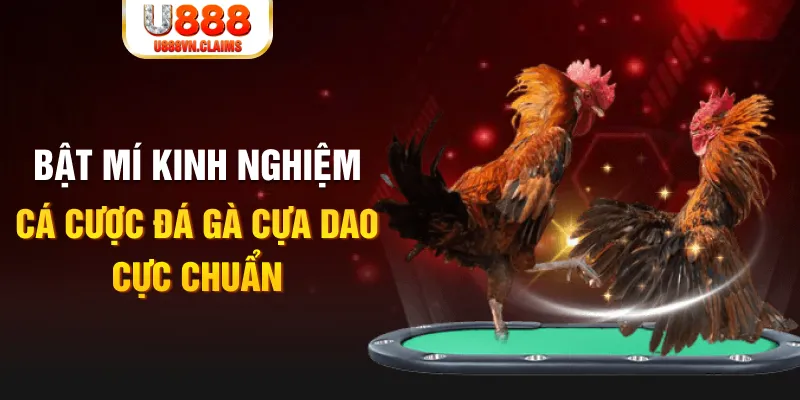 98 win casino hồ tràm có cho người việt vào không