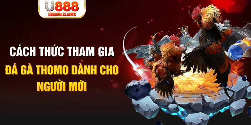 98 win truc tiep da ga