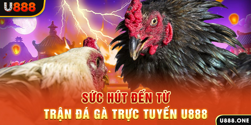 98 win đăng nhập poker 2024