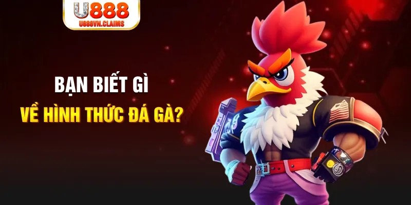 98 win đăng nhập liêng tặng tiền