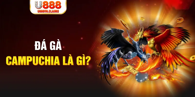 98 win what is the best online casino for real money