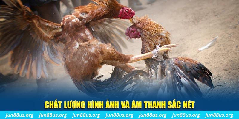 98 win tai game danh bai mien phi ve may tinh