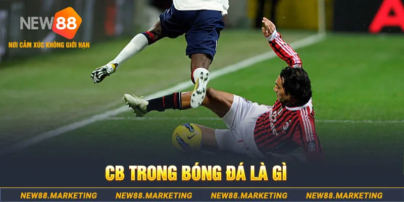 98 win DG Trực Tuyến