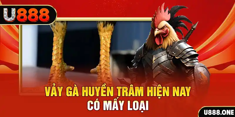 98 win đăng nhập nổ hũ miễn phí