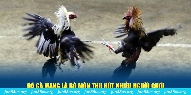 98 win đăng nhập sòng bạc số 1