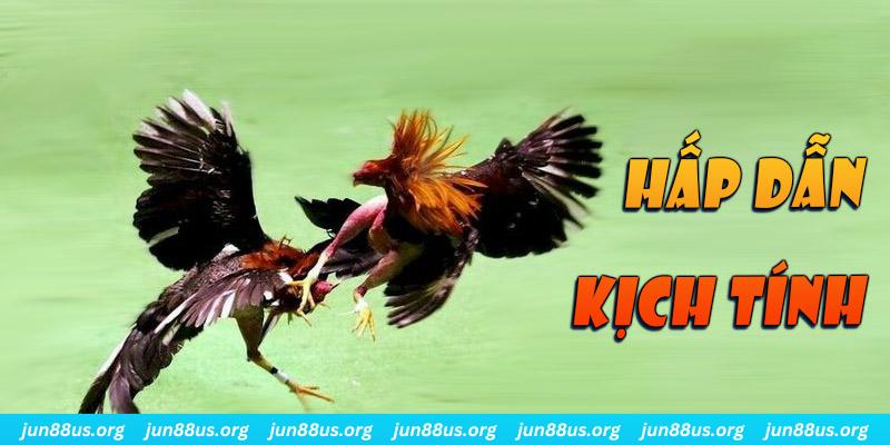 98 win xổ số miền nam thứ sáu