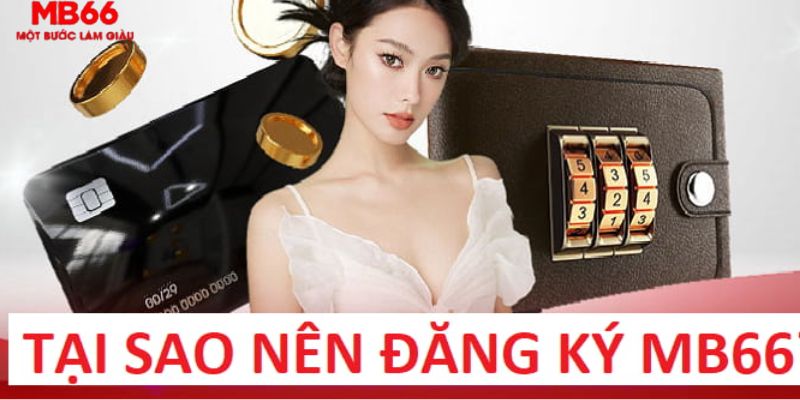 98 win trực tiếp gà chọi c1