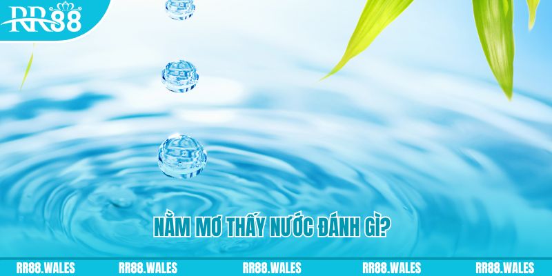 98 win xổ số trực tiếp miền bắc