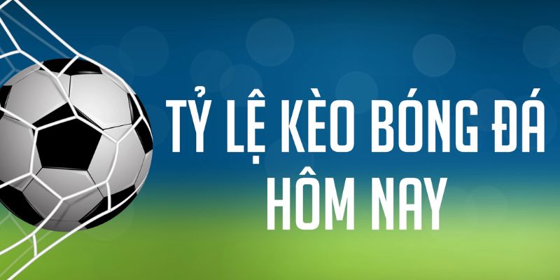 98 win đăng nhập phỏm