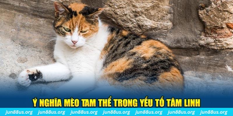 98 win máy slot game là loại trò chơi gì？