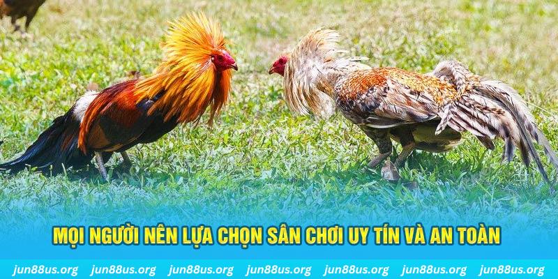 98 win đăng nhập poker 2025