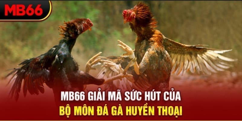 98 win xổ số đài bắc