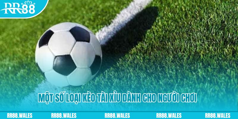 98 win slot nghĩa là gì