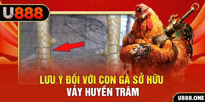 98 win tải game đánh bài tiến lên miền nam về máy tính