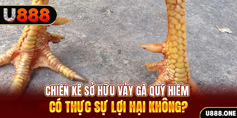 98 win xổ số miền trung