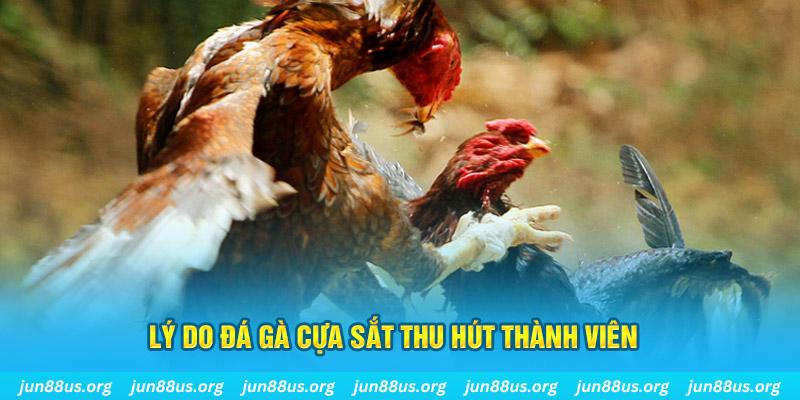 98 win nổ hũ ăn bao nhiêu