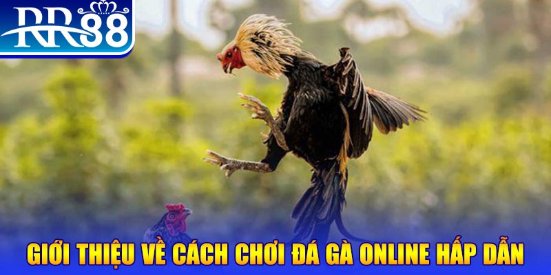 98 win bắn cá h5 là gì