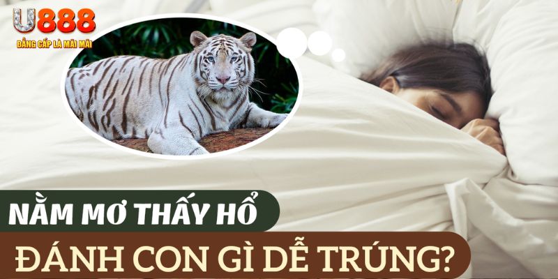 98 win nohu .mx nổ hủ là gì