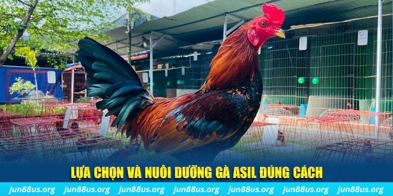 98 win nổ hũ thần tài là gì