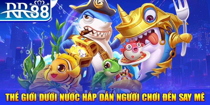 98 win đăng nhập mậu binh dễ thắng