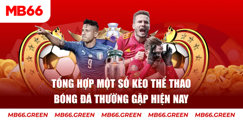 98 win TP Xổ Số