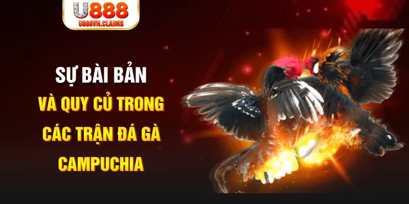 98 win game xếp bài trên máy tính