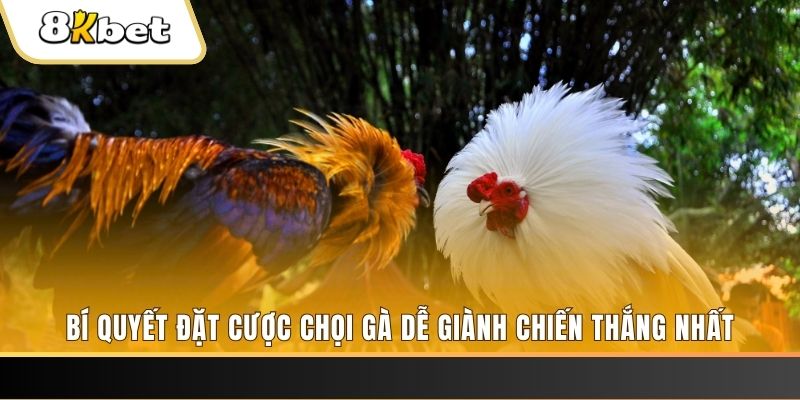 98 win nổ hũ chơi như thế nào
