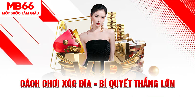 98 win Đĩa màu ace