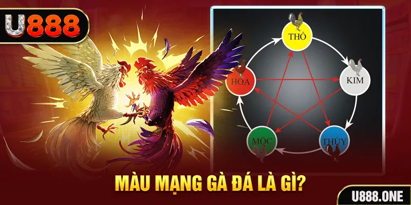 98 win V8 Game Bài 3d