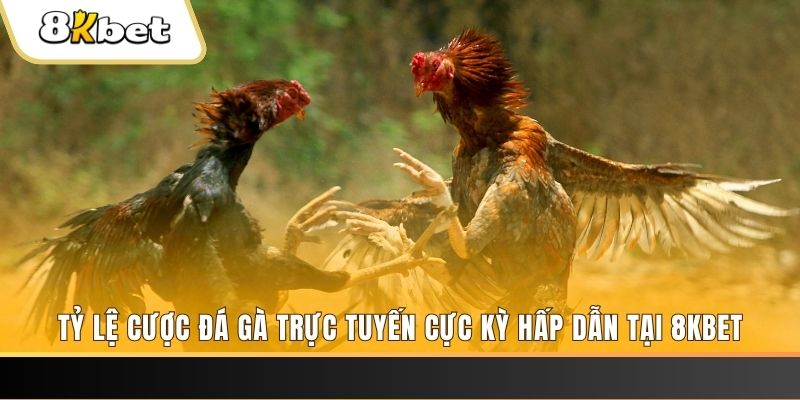 xổ số miền bắc chủ nhật