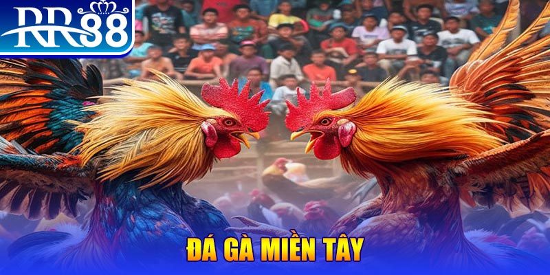 98 win đăng nhập liêng đổi thưởng