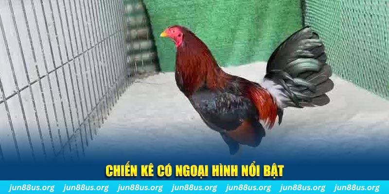98 win qq88 bắn cá