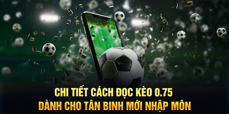 98 win Xì tố