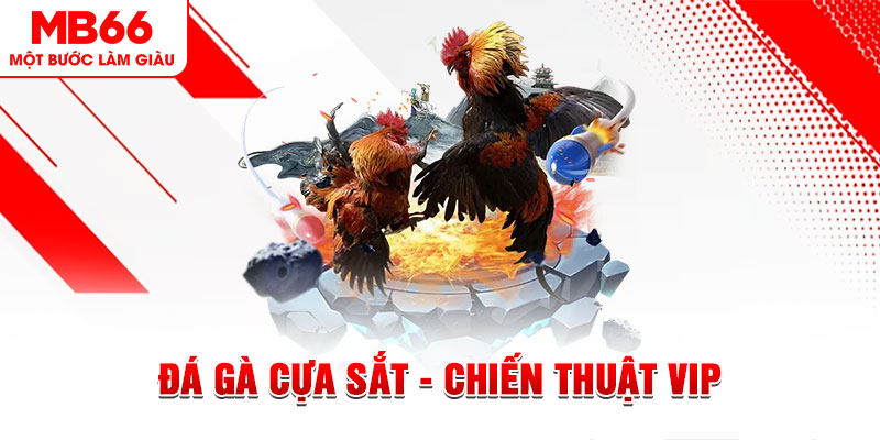 98 win slot out là gì