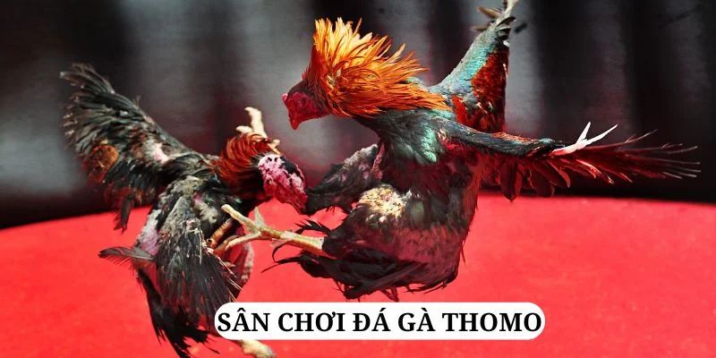98 win quay nổ hũ là gì