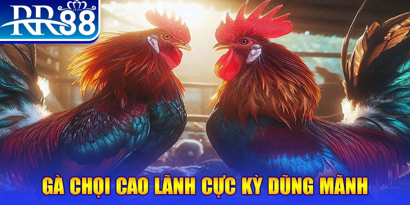 98 win đăng nhập poker live